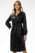 Evening dress model 204254